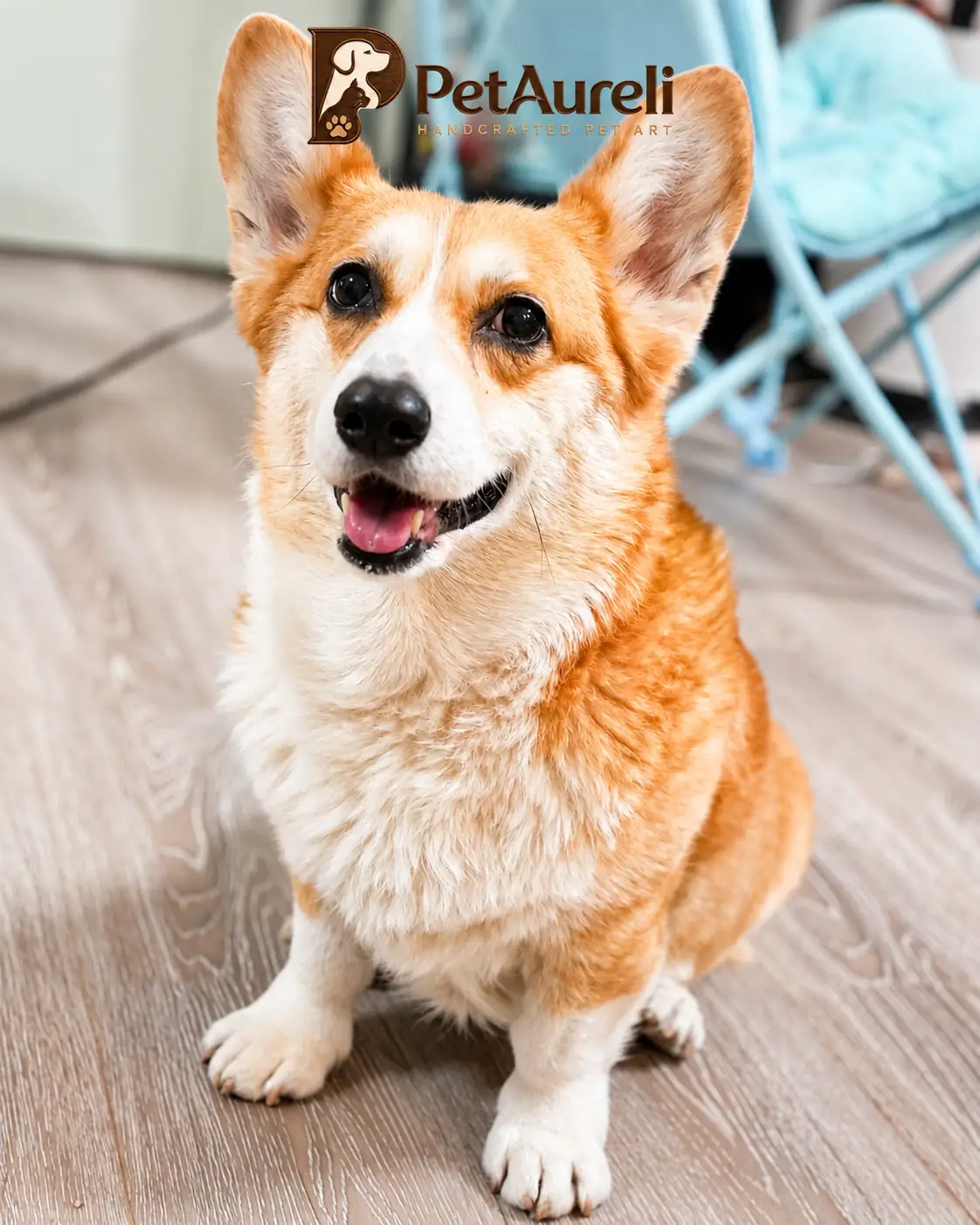 Your Pet Photo